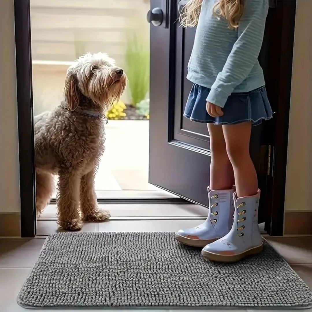 Absorbent Dog Door Mat for Muddy Paws